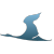 JS-v-16464