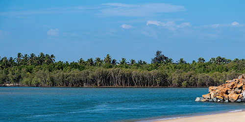 Manama - Mangalore